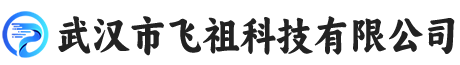 武汉市飞祖科技有限公司